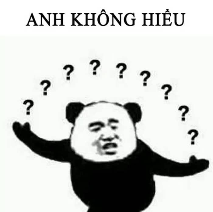 meme không 28