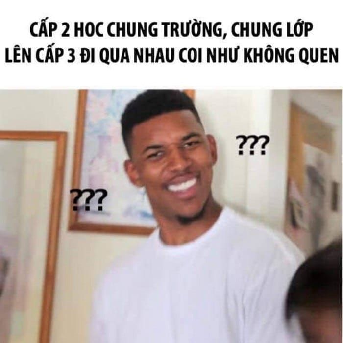 meme không 29