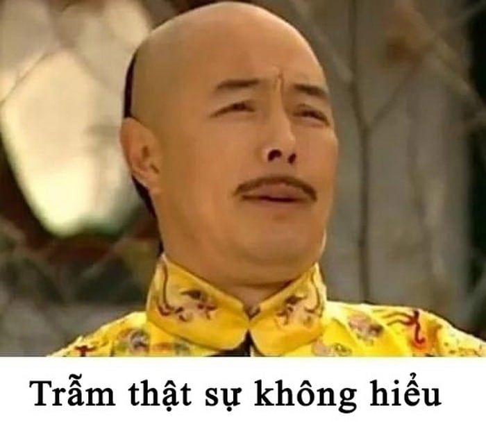 meme không 31