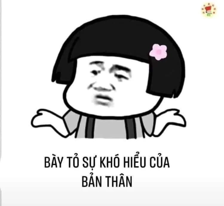 meme không 40