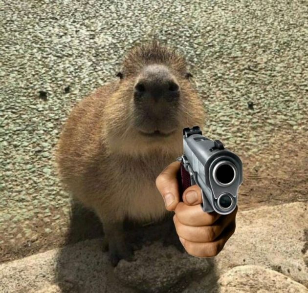 capybara meme 8