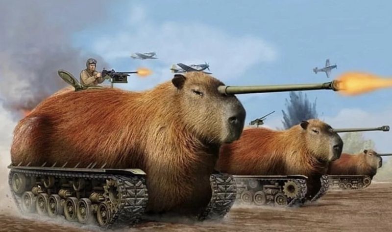 capybara meme 27