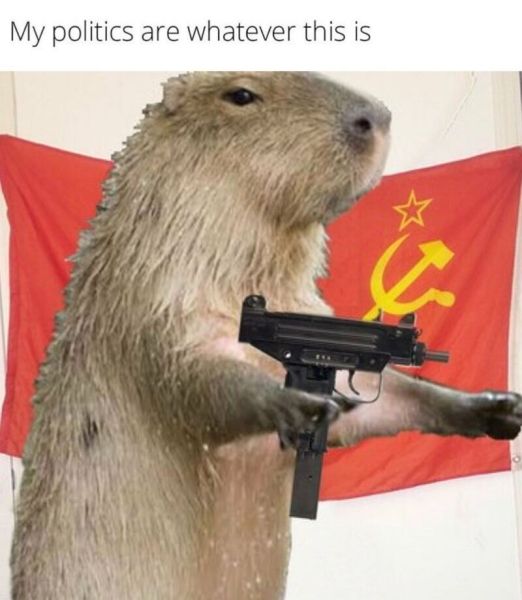 capybara meme 43