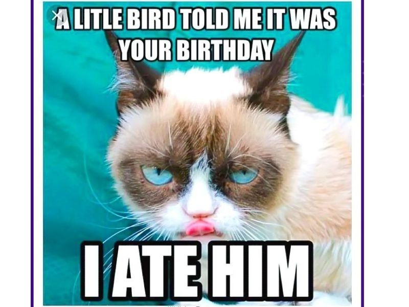 happy birthday meme 32