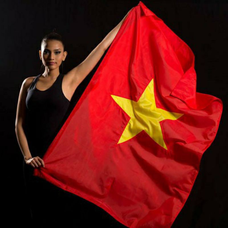 hình nền lá cờ Việt Nam 19
