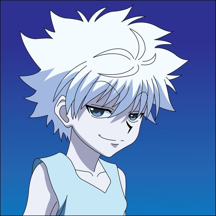 Killua avatar 28