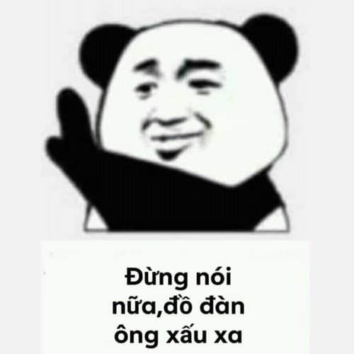 gấu trúc meme 2