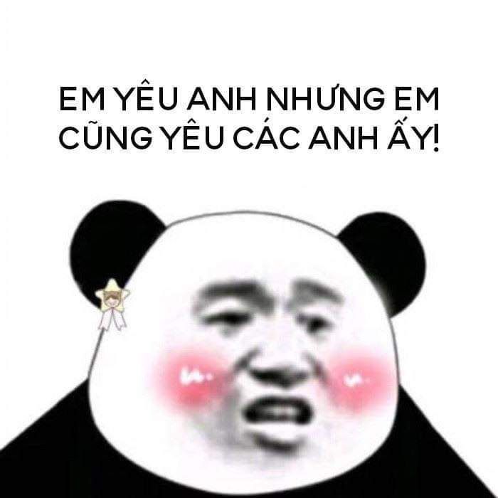 gấu trúc meme 3