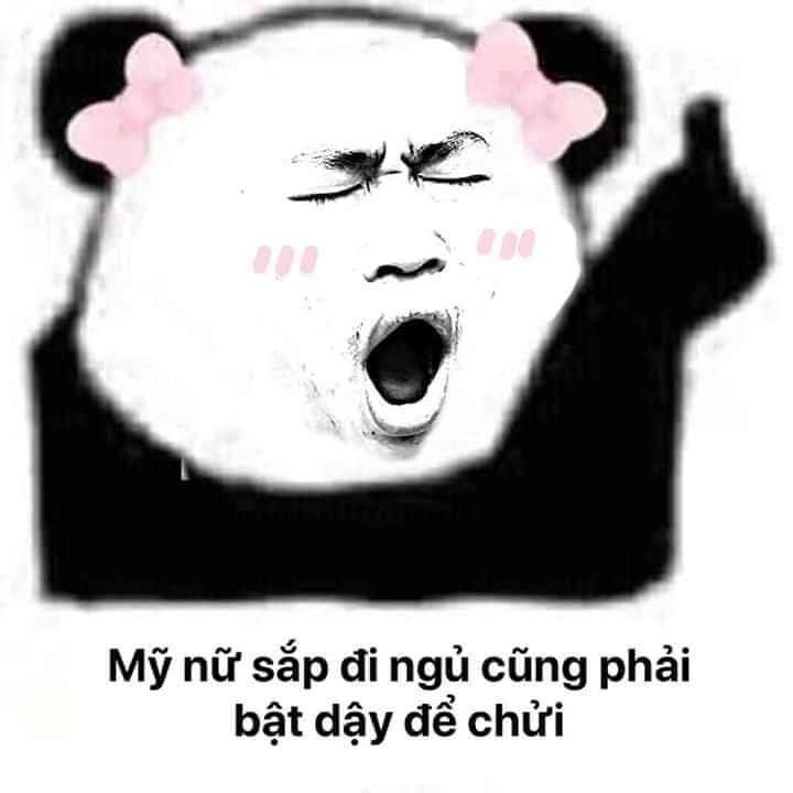 gấu trúc meme 4