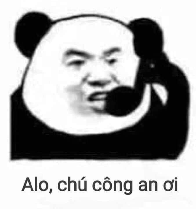 gấu trúc meme 10