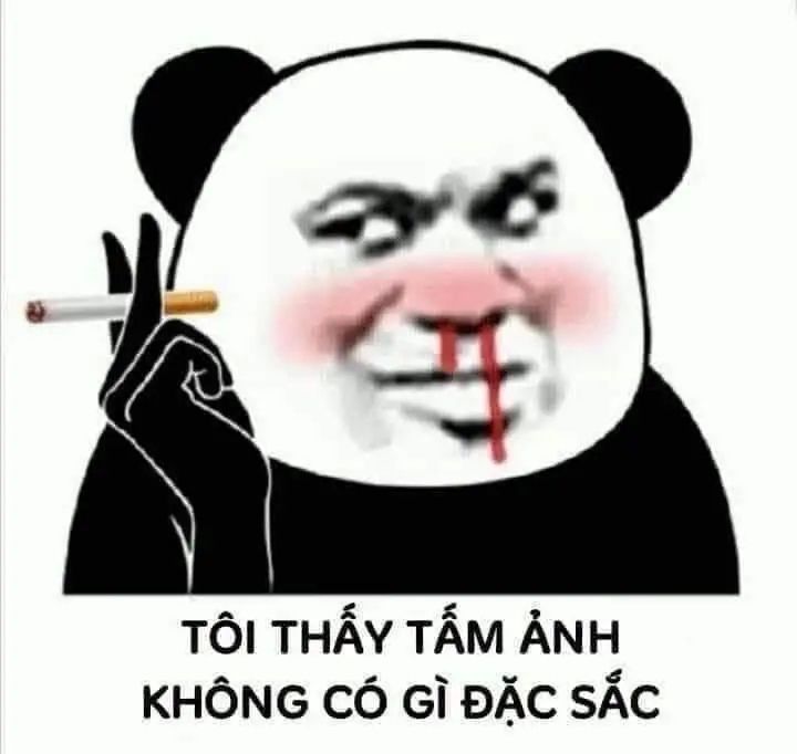 gấu trúc meme 11