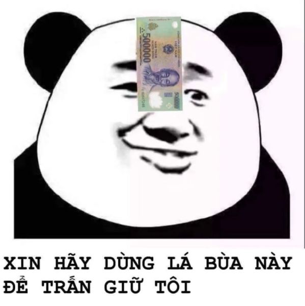 gấu trúc meme 15