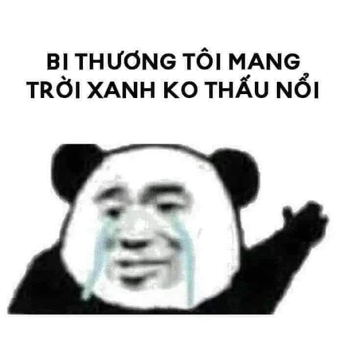 gấu trúc meme 14