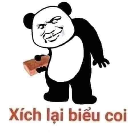 gấu trúc meme 19