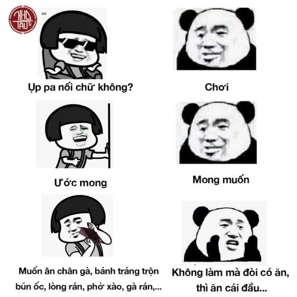 gấu trúc meme 20