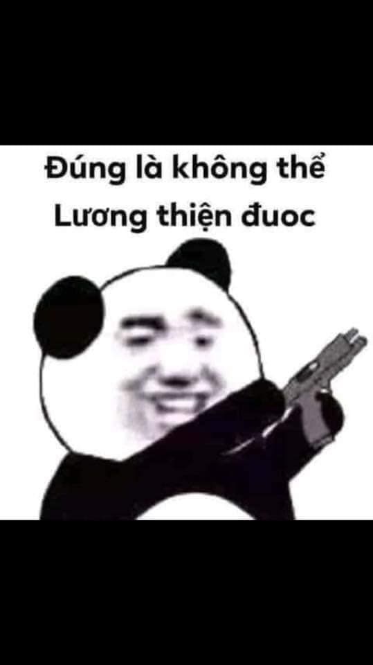 gấu trúc meme 22