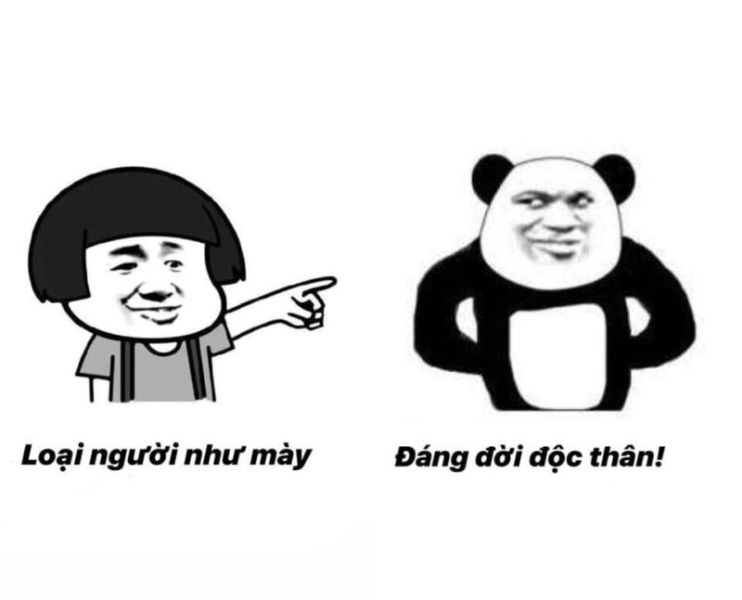 gấu trúc meme 23