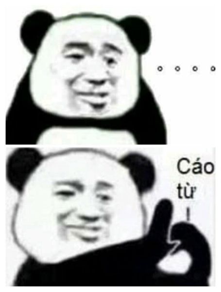 gấu trúc meme 25