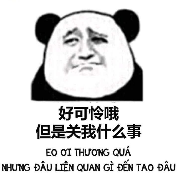 gấu trúc meme 30