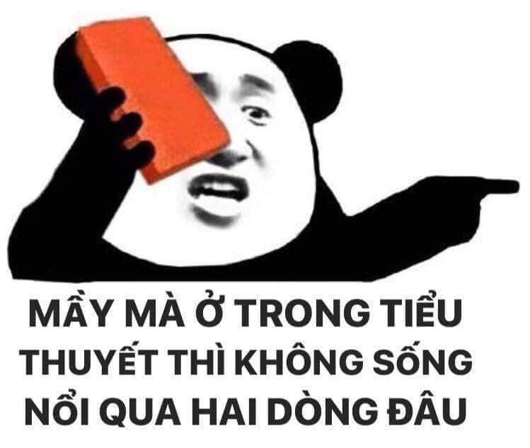 gấu trúc meme 33