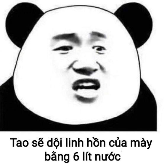 gấu trúc meme 35