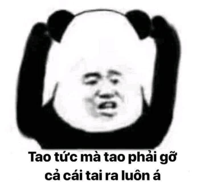 gấu trúc meme 38