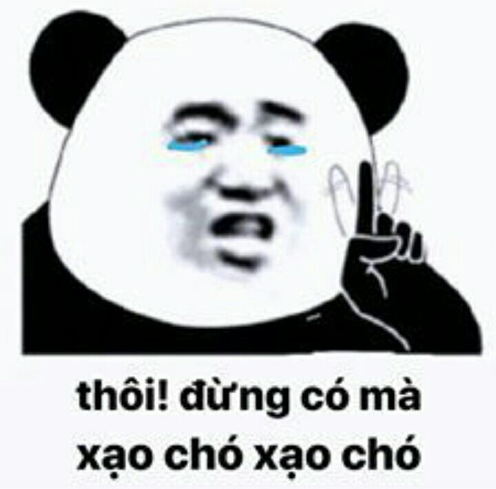 gấu trúc meme 40