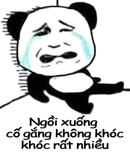 gấu trúc meme 43