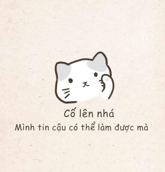 meme an ủi 19