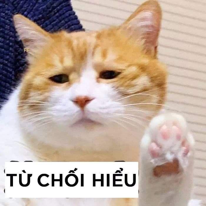 meme bất lực 1