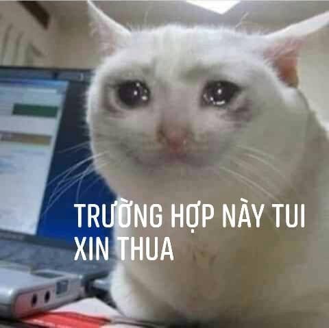 meme bất lực 6