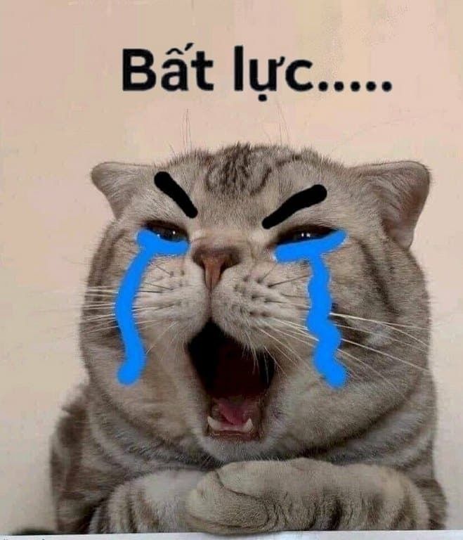 meme bất lực 30