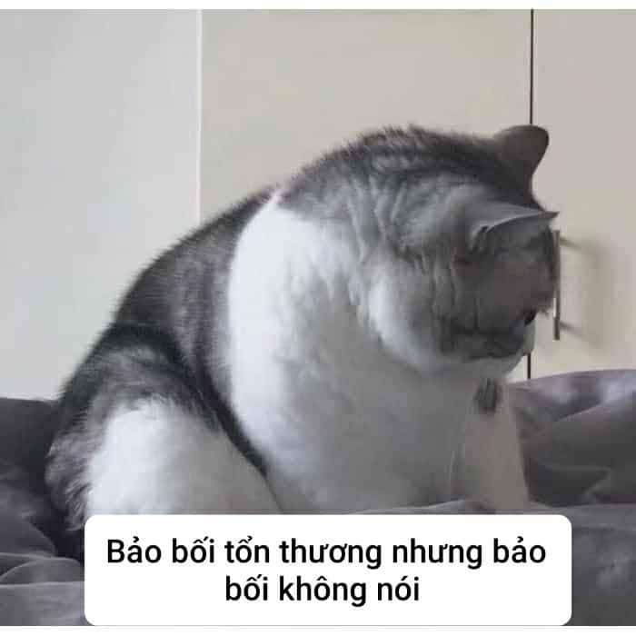 meme bất lực 37