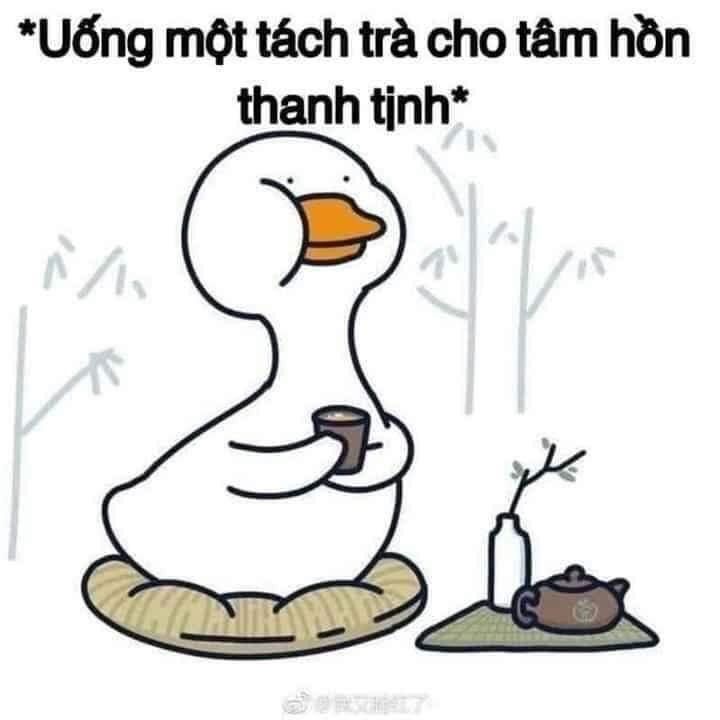 meme bất lực 48