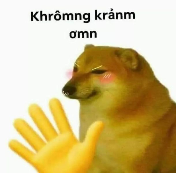 meme cảm ơn 21