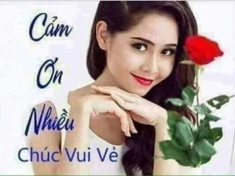 meme cảm ơn 30