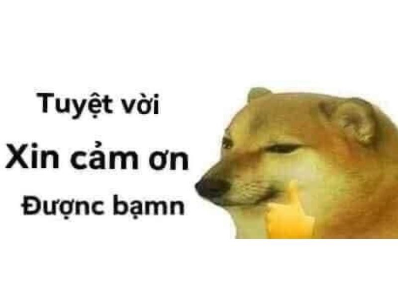 meme cảm ơn 32