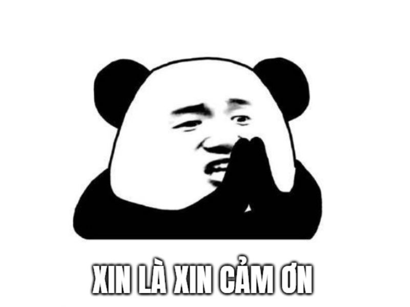 meme cảm ơn 34