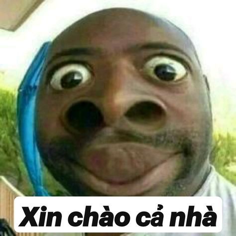 meme chào 11