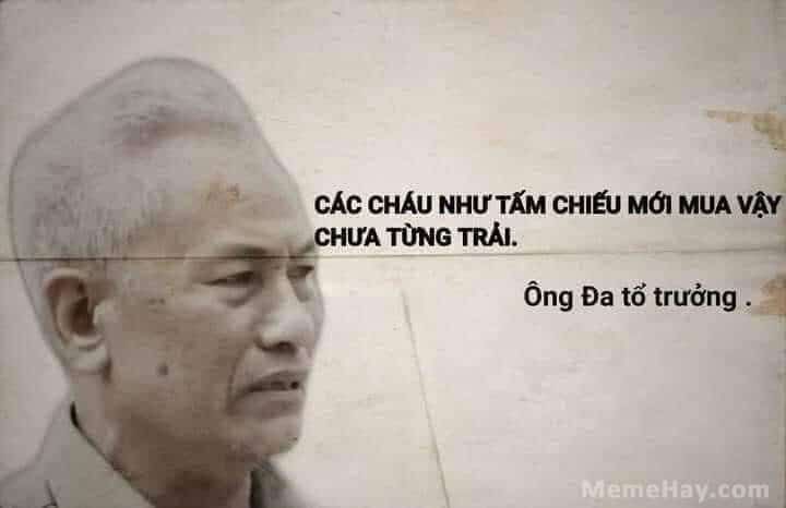 ảnh meme chế 7