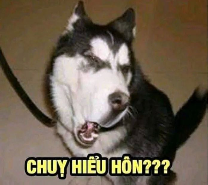 ảnh meme chế 8