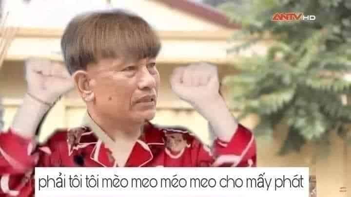 ảnh meme chế 9