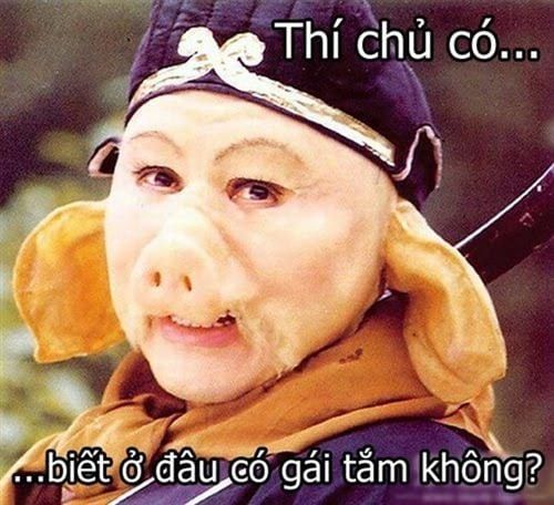 ảnh meme chế 15