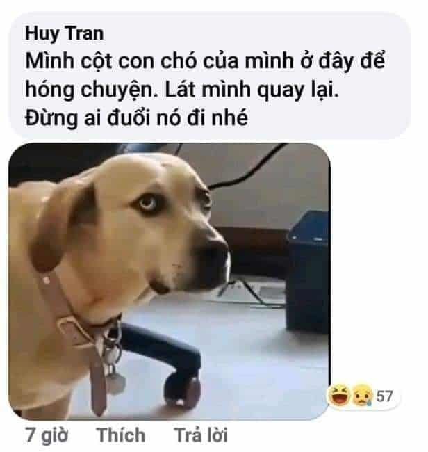 ảnh meme chế 19