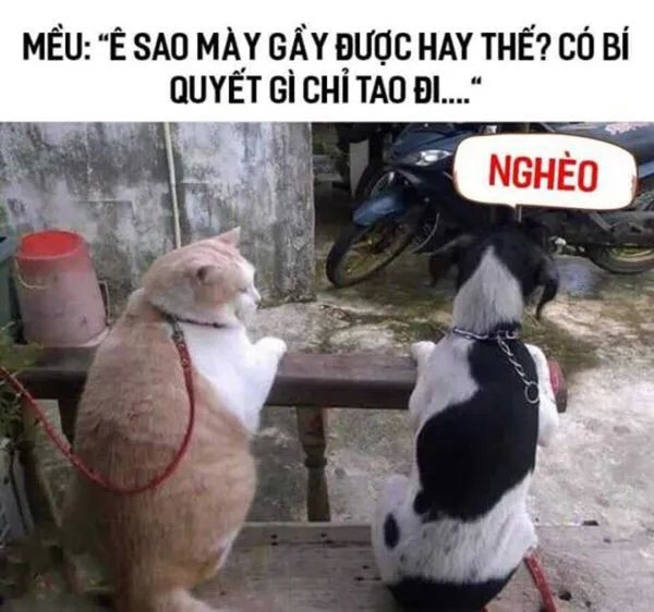 ảnh meme chế 34