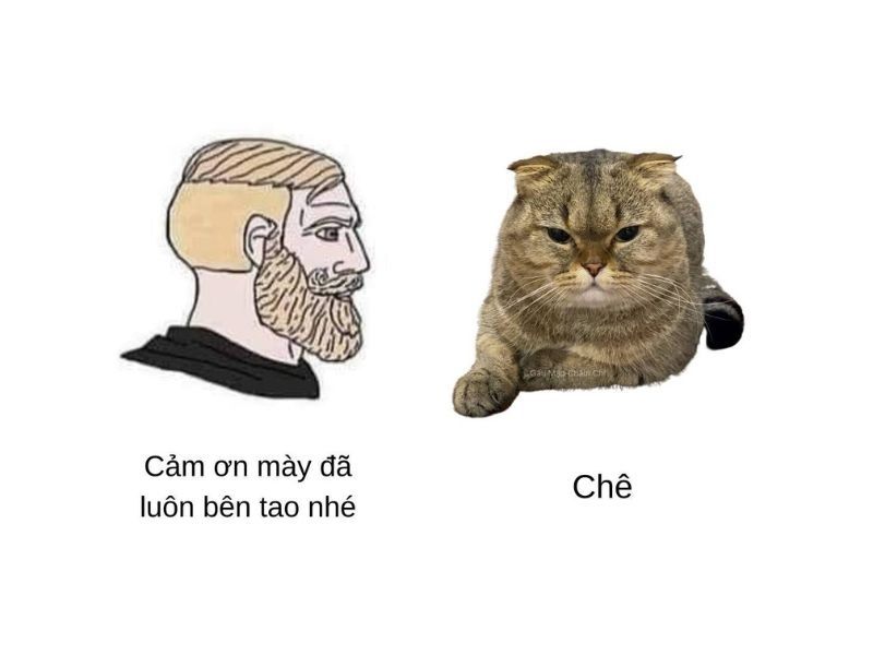 meme chê 39