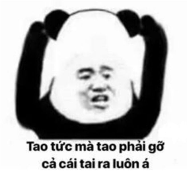 meme chửi 4