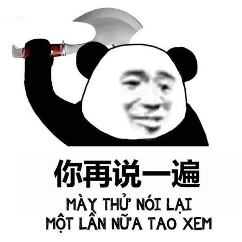 meme chửi 16