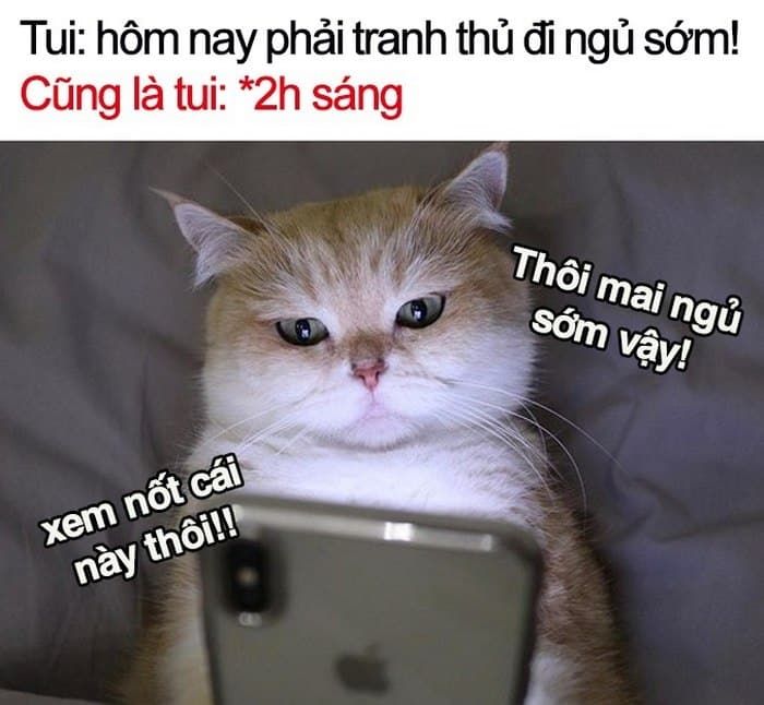 meme đi ngủ 12