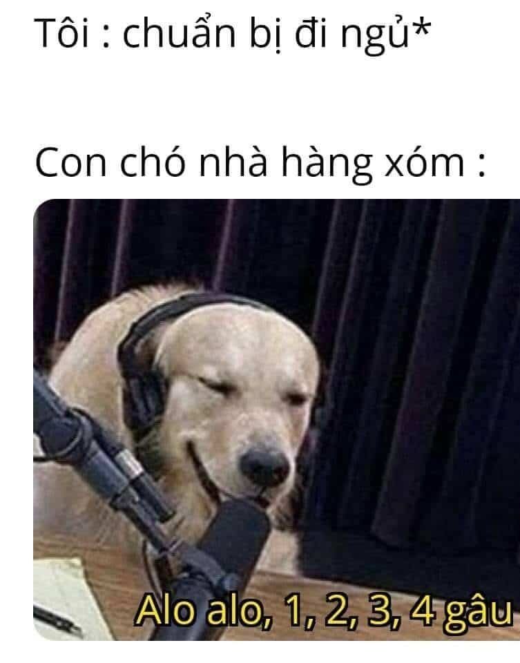 meme đi ngủ 16